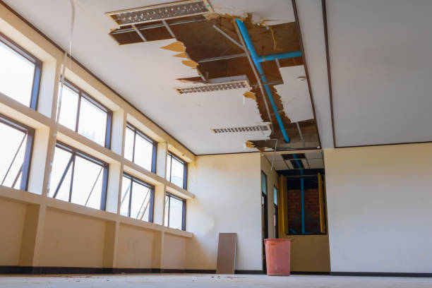 Best Water damage restoration insurance claims  in Hansville, WA