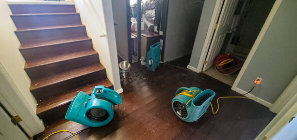 Best Water damage restoration near me  in Hansville, WA