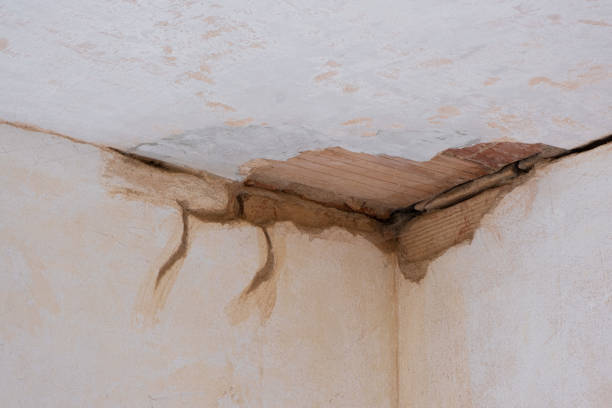 Best Flood damage cleanup  in Hansville, WA