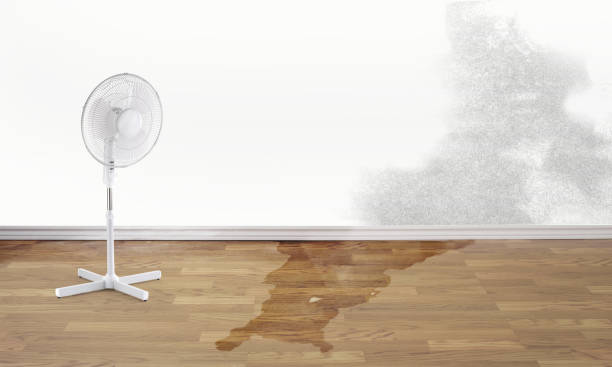 Best 24-hour water damage restoration  in Hansville, WA