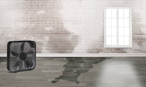 Best 24-hour water damage restoration  in Hansville, WA