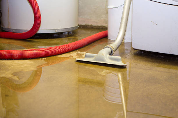 Best 24/7 water damage repair  in Hansville, WA
