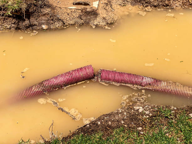 Best 24-hour water damage restoration  in Hansville, WA